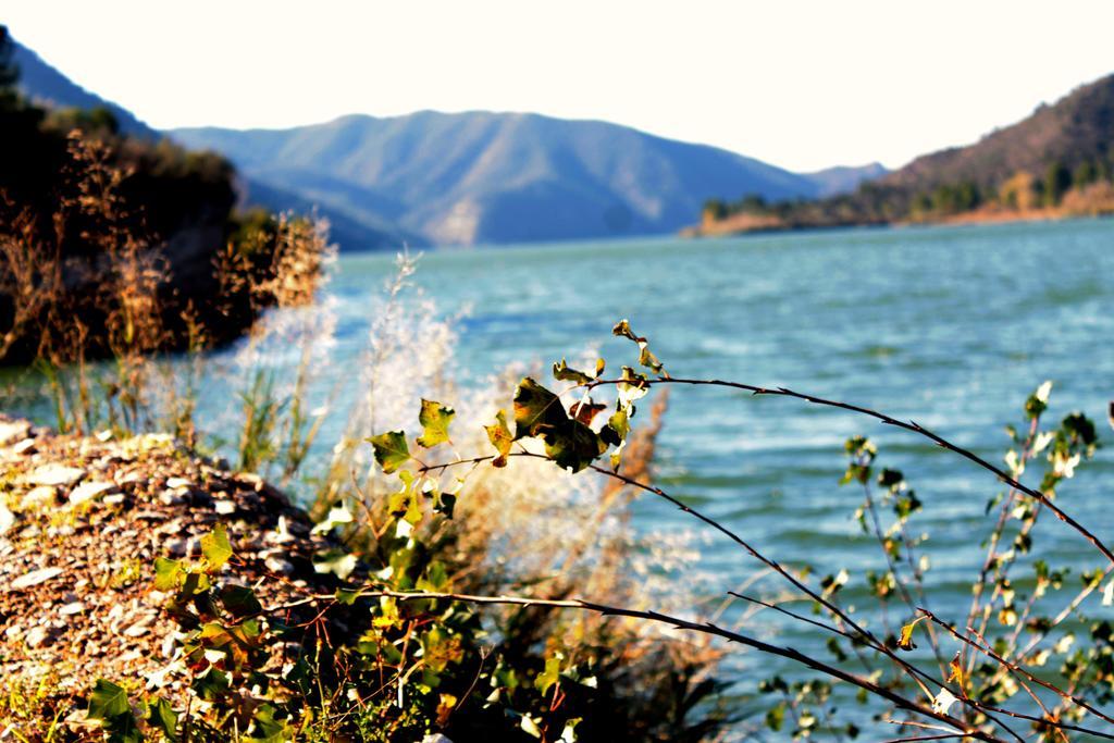 Camping Riba-Roja Quarto foto